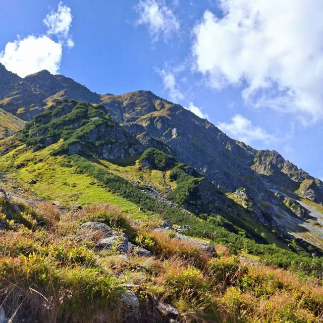 Weather forecasts with beautiful photos by steve2025s