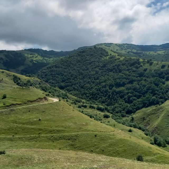 天气预报，带Snusmumrik85精美的照片