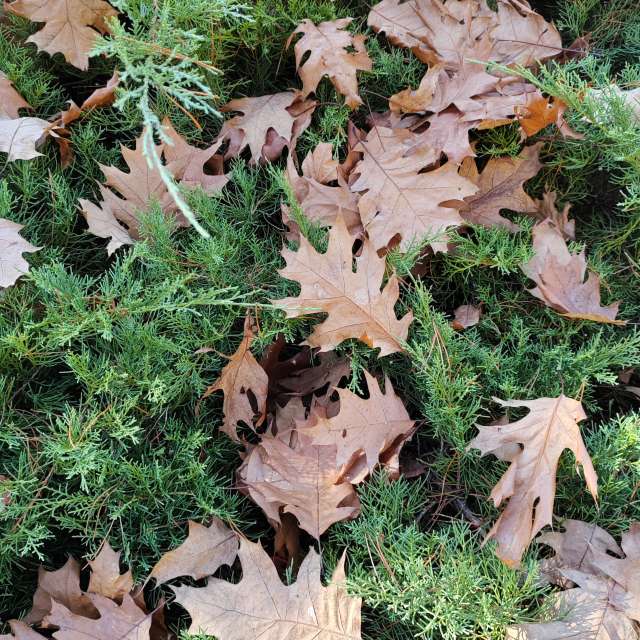 Wettervorhersagen mit schönen Fotos von Albert_Smelovtsev
