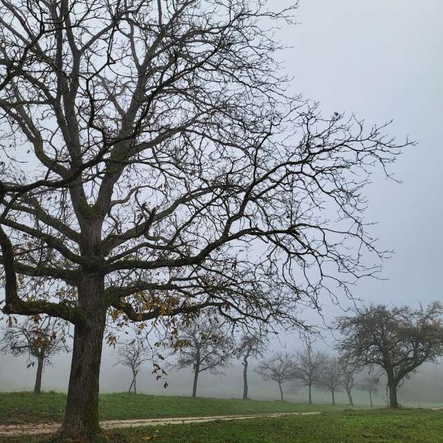 Weather forecasts with beautiful photos by aida-khaldi