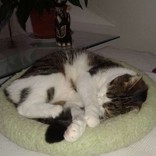 Weather forecasts with beautiful photos by aida-khaldi