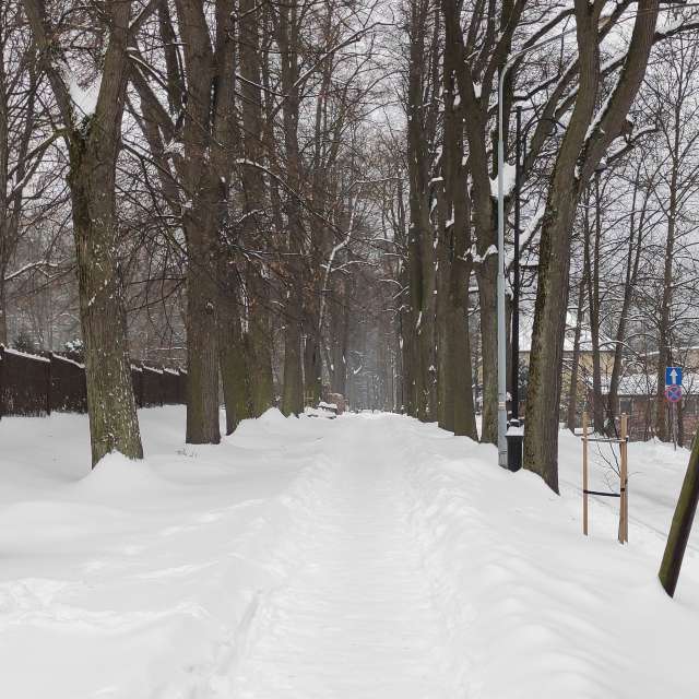 Kreuzen. Wettervorhersagen mit schönen Fotos von Kripo Fotos Ladek Zdroj