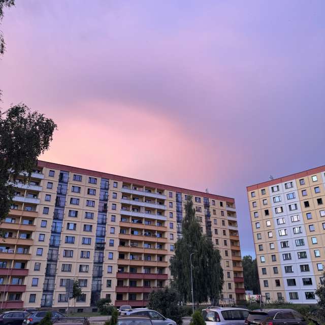 Grass. Weather forecasts with beautiful photos by Svet-Lana Photos in Rīga