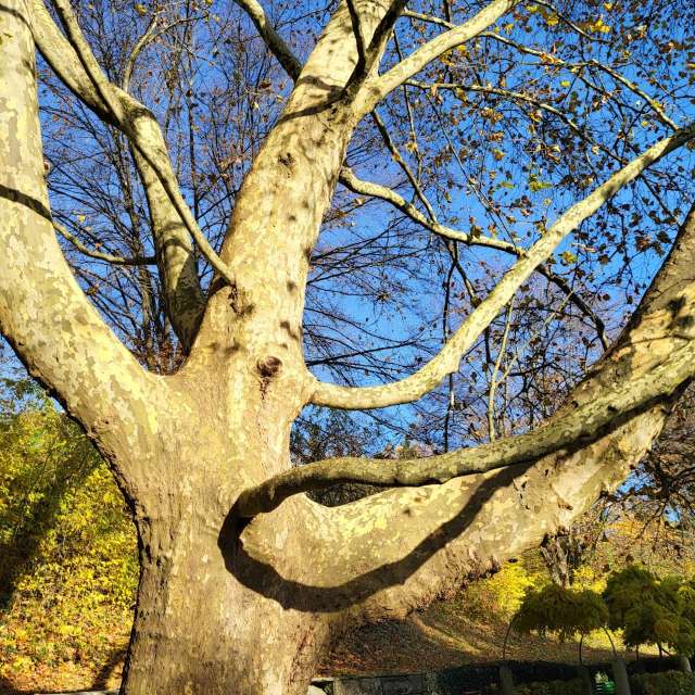 Pronósticos del tiempo con hermosas fotos de aida-khaldi