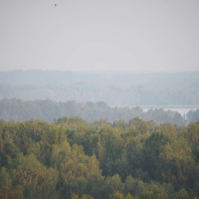 Weather forecasts with beautiful photos by ShiLoviCh