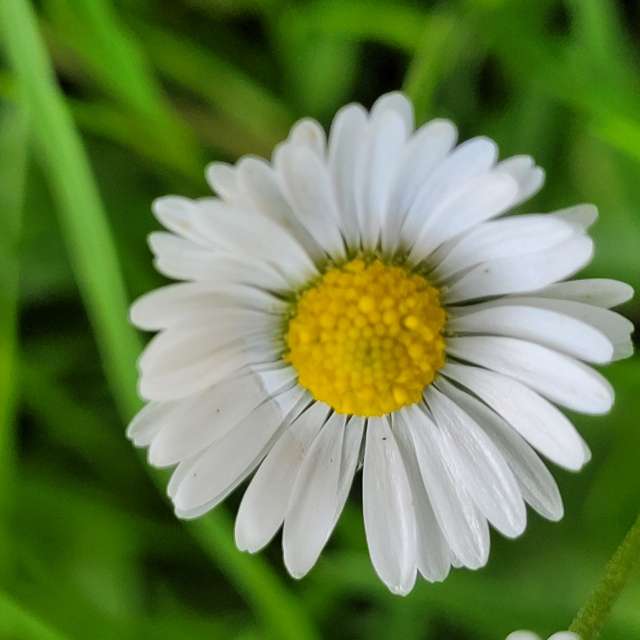 Green. Weather forecasts with beautiful photos by Anamarija Photos in Slovenia