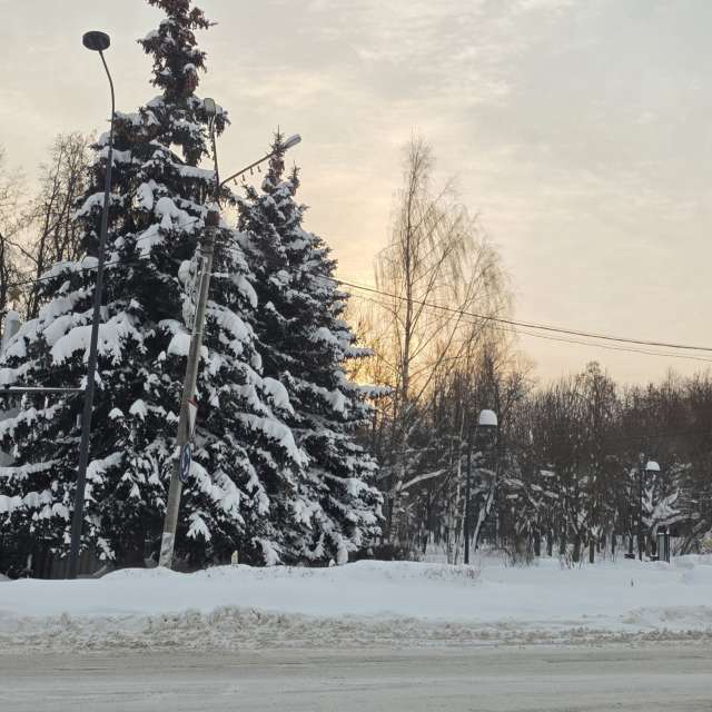 Stroganov_4の美しい写真による天気予報