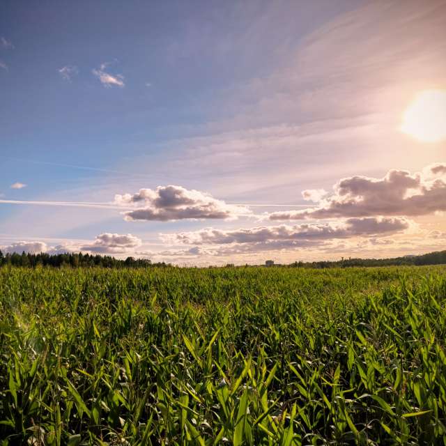 Previsões do tempo com lindas fotos de -_-devil666-_-