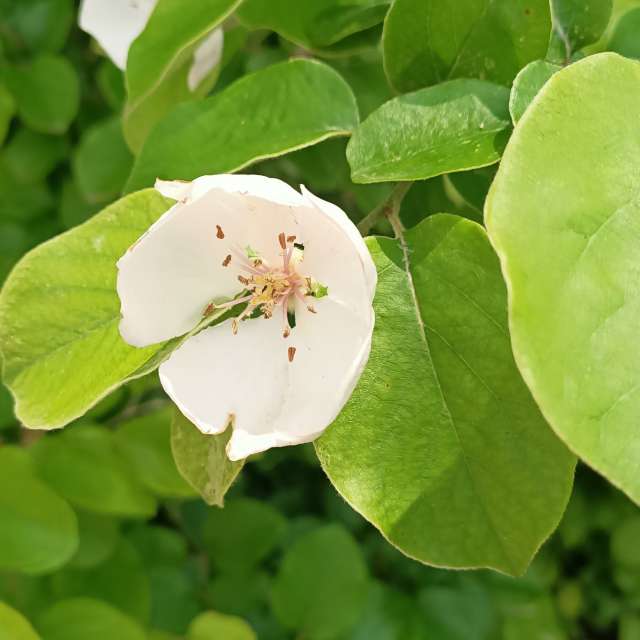 Dự báo thời tiết với những bức ảnh đẹp của Derebey