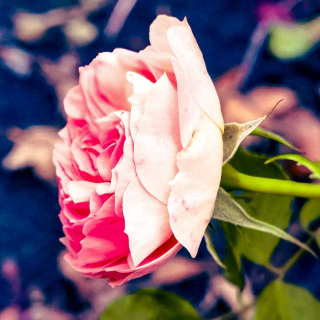 Wettervorhersagen mit schönen Fotos von Terraza74