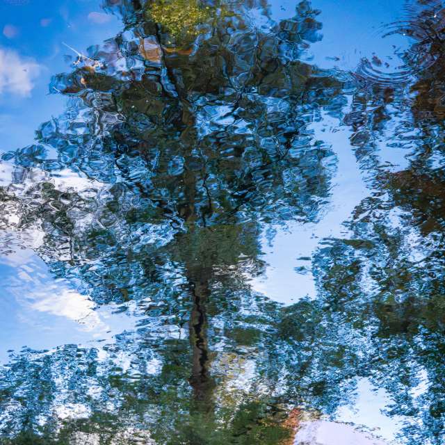 Feld. Wettervorhersagen mit schönen Fotos von Lecheval Fotos Münster