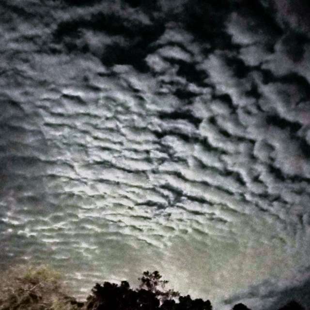 Almaの美しい写真による天気予報