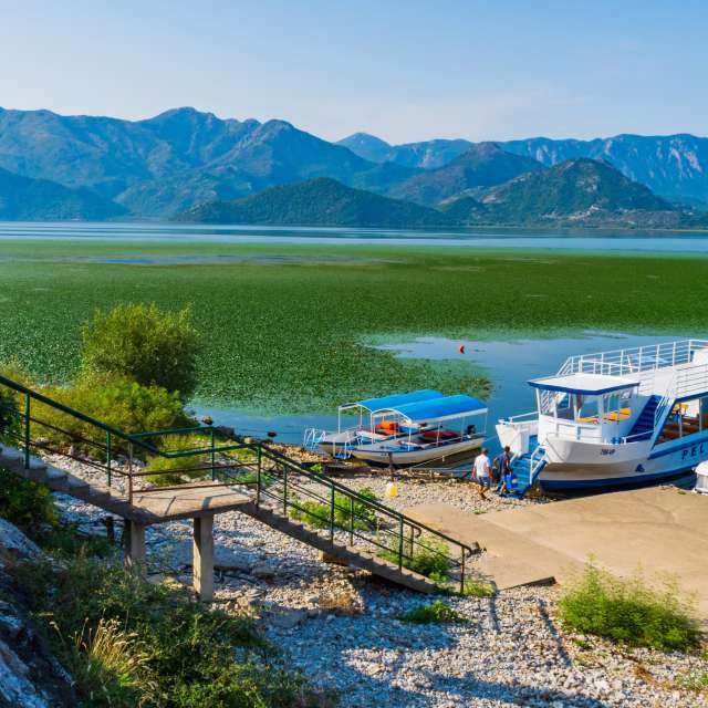 Prévisions météo avec de superbes photos de dinamo