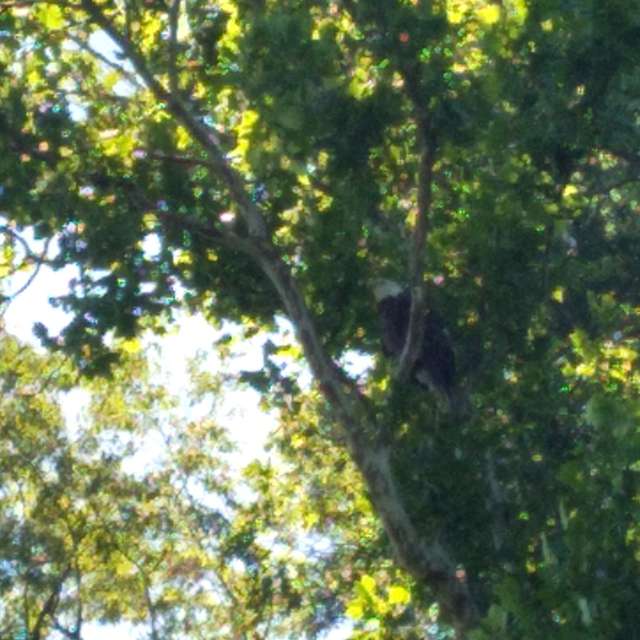 Pronósticos del tiempo con hermosas fotos de Jasoncrissy