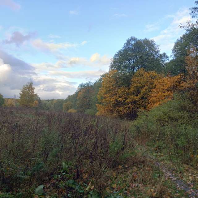 Grazing. Weather forecasts with beautiful photos by Amanda_and_Valdemar_Che Photos in Izmaylovo District