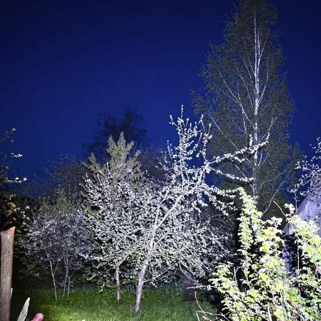 Riding. Weather forecasts with beautiful photos by Valiukas Photos in Lithuania