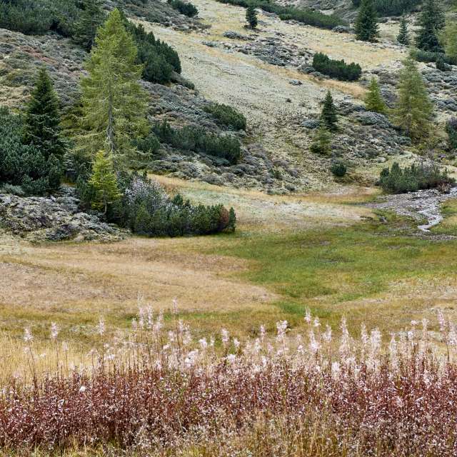 Weather forecasts with beautiful photos by jpfoto