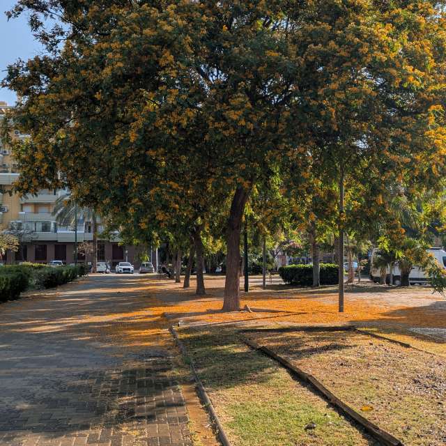 Stoppen. Wettervorhersagen mit schönen Fotos von Patán Fotos Málaga