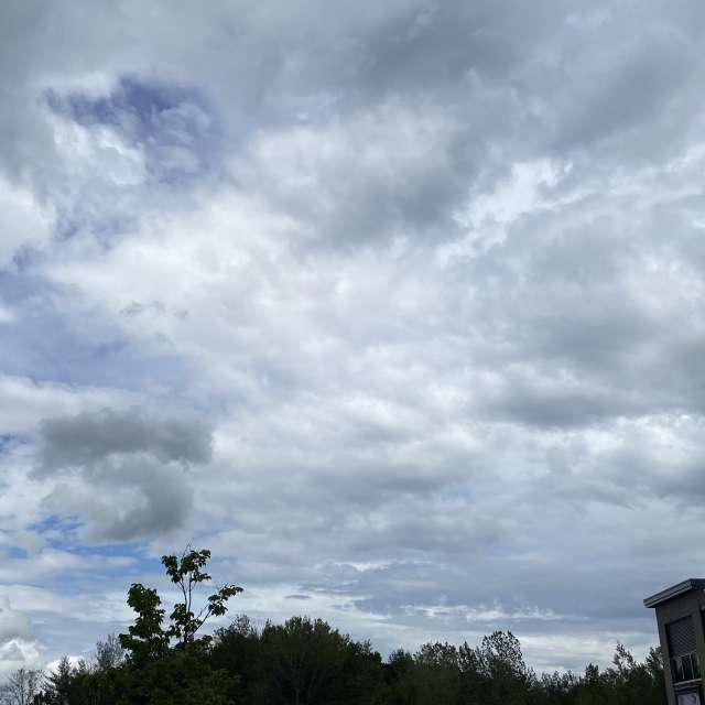People. Weather forecasts with beautiful photos by Lulu5523 Photos in le Plateau