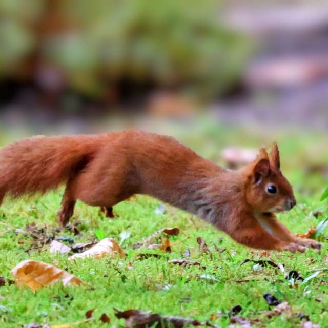 Lotti5507の美しい写真による天気予報