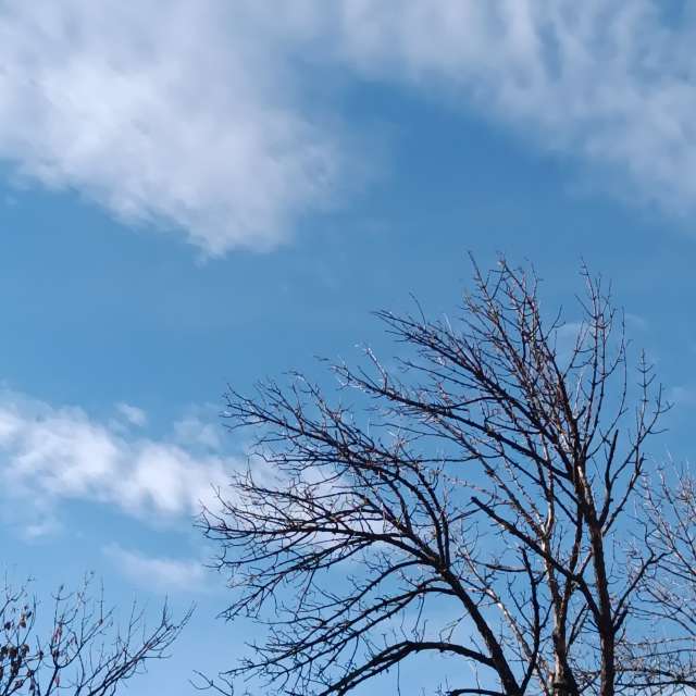 Fotos del Frente. Pronósticos del tiempo con hermosas fotos de YanBog en București