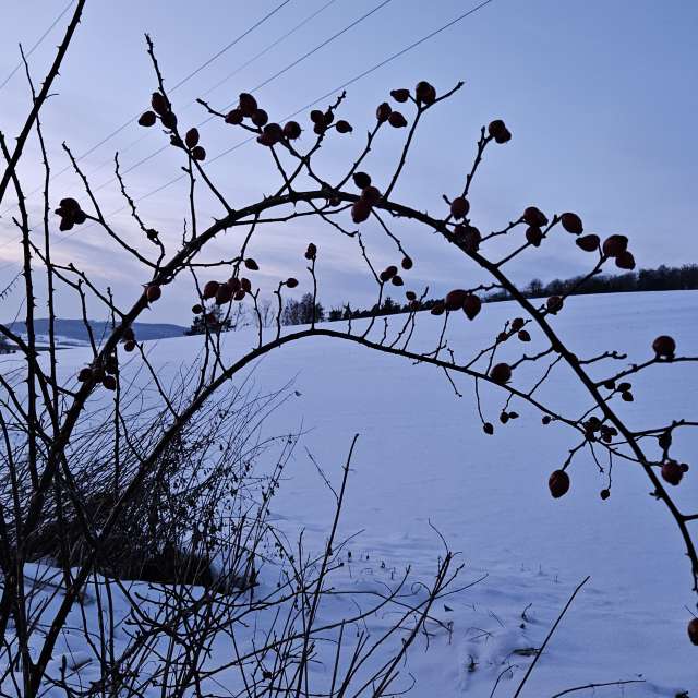 Gegenwehrの美しい写真による天気予報