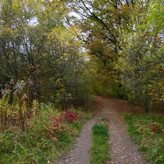 Fotos Grama. Previsões do tempo com lindas fotos de Vasek325 em Praha 4