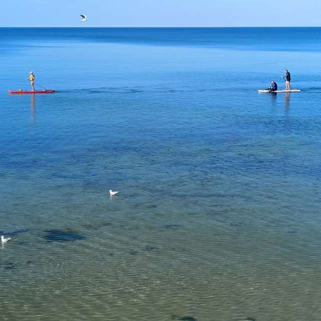 Fotos Flutuando. Previsões do tempo com lindas fotos de Михаил Бондаренко em Pionerskiy