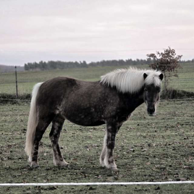 Wettervorhersagen mit schönen Fotos von Hela