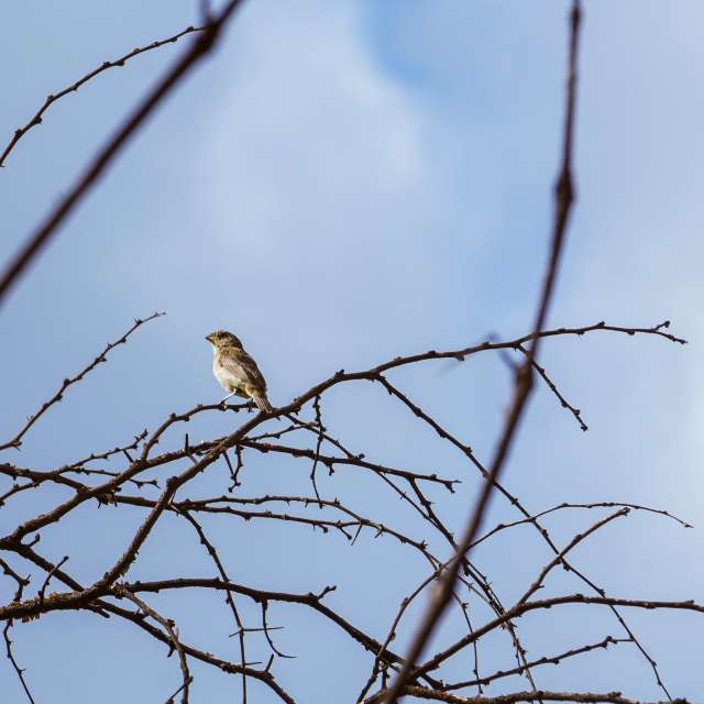 天气预报，带grt90精美的照片