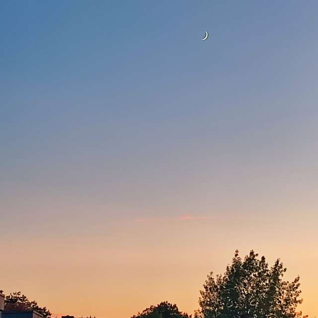 Boat. Weather forecasts with beautiful photos by Tercis Photos in Ettlingen