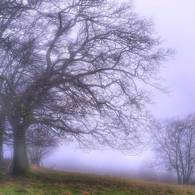 Weather forecasts with beautiful photos by Gweiland