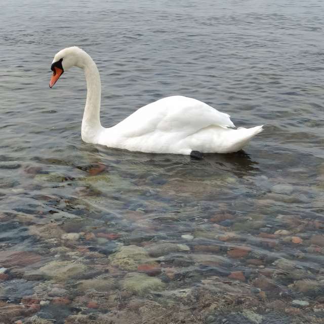 Fotos Corpo. Previsões do tempo com lindas fotos de Михаил Бондаренко em Pionerskiy