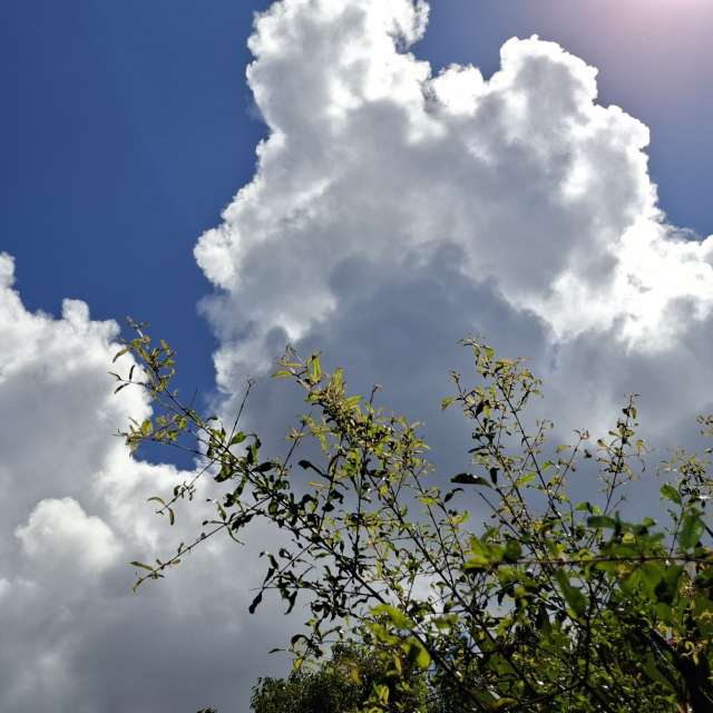 Pronósticos del tiempo con hermosas fotos de Wen-ya Huang