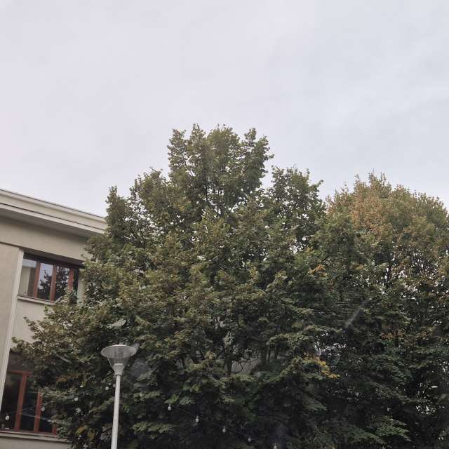 Fotos del Lado. Pronósticos del tiempo con hermosas fotos de snak392 en București