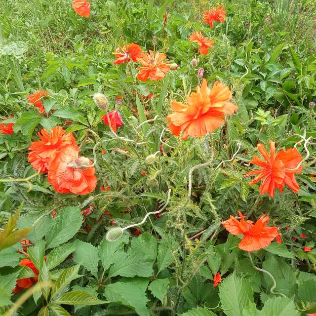 Wettervorhersagen mit schönen Fotos von Evgeniya77