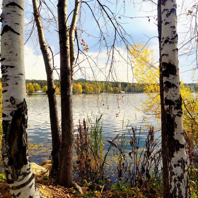 天气预报，带Lara357精美的照片