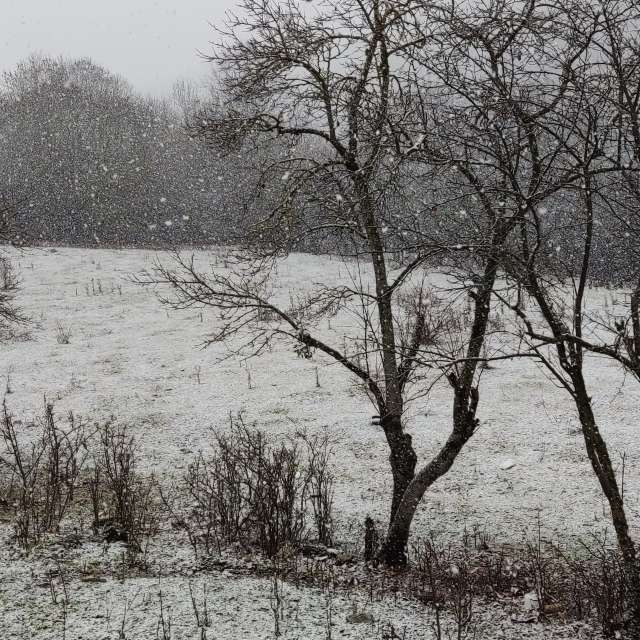 天气预报，带svanskay精美的照片