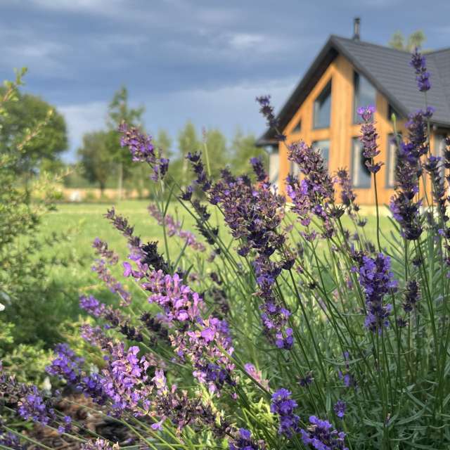 Photos Personnes. Prévisions météo avec de superbes photos de Stassy de Teshkovo