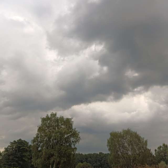 Grassy. Weather forecasts with beautiful photos by Amanda_and_Valdemar_Che Photos in Izmaylovo District