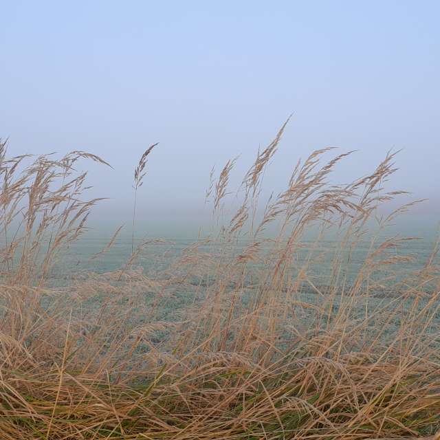 Weather forecasts with beautiful photos by Ute-Eleonore