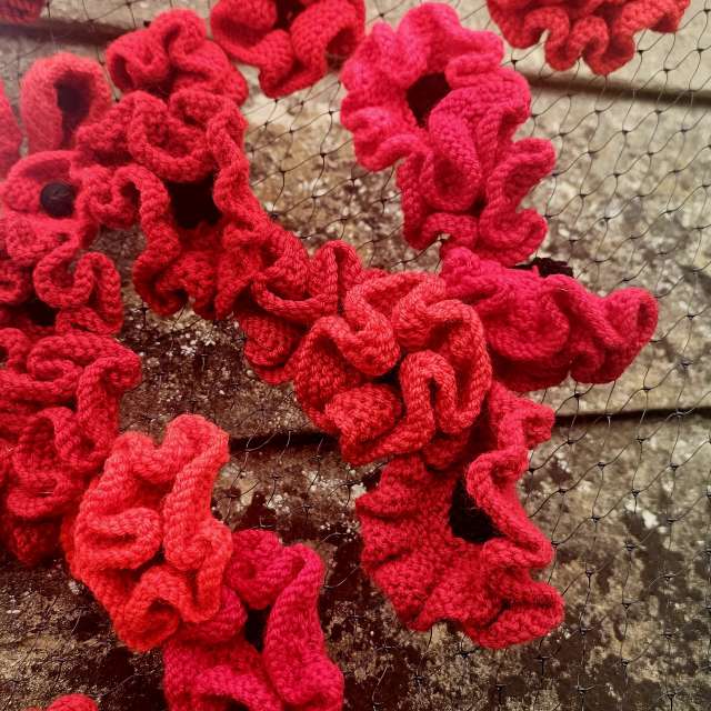 Wettervorhersagen mit schönen Fotos von Greenbroker