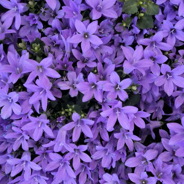 Fotos del Clima. Pronósticos del tiempo con hermosas fotos de YanBog en Strada Bozieni 6