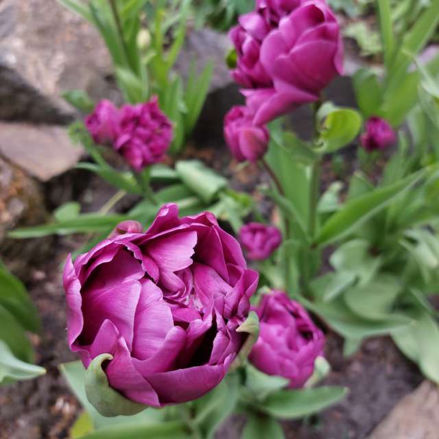 Luft. Wettervorhersagen mit schönen Fotos von Iryna Fotos Lwiw