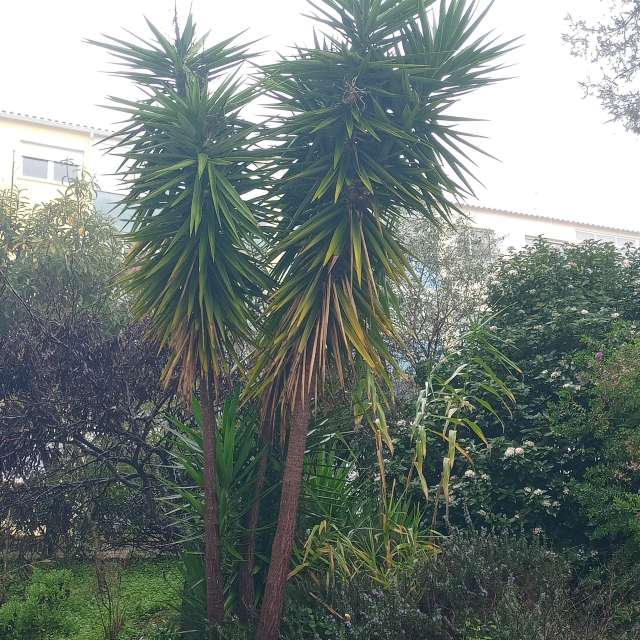Prévisions météo avec de superbes photos de Joaquim Fonseca