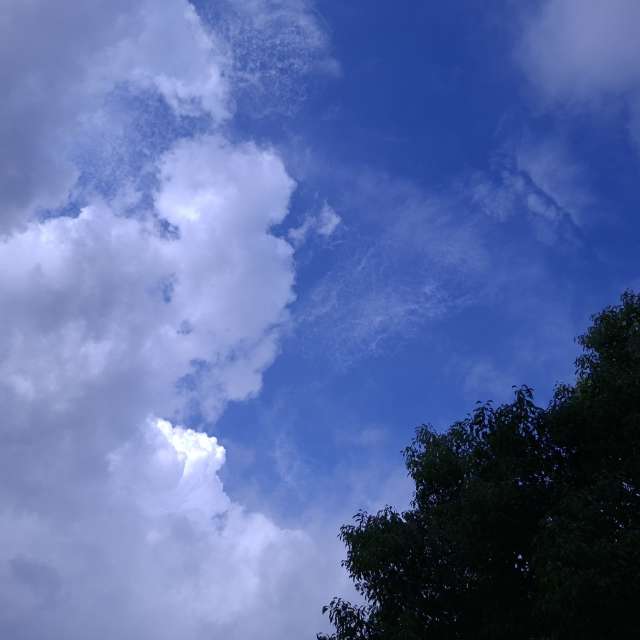 Weather forecasts with beautiful photos by Wen-ya Huang