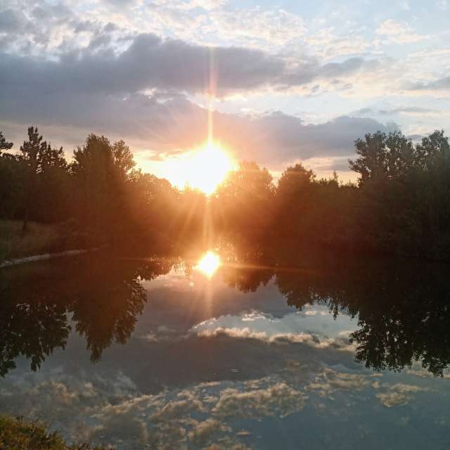 Stadt. Wettervorhersagen mit schönen Fotos von Kripo Fotos Niederösterreich