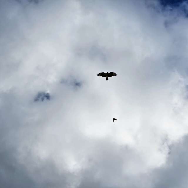 Pronósticos del tiempo con hermosas fotos de soykika