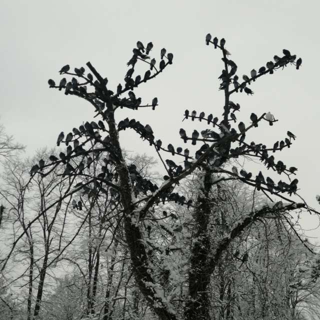 Forest Gate میں لمبا. maichai کے ذریعے خوبصورت تصاویر کے ساتھ موسم کی پیش گوئیاں کی تصاویر