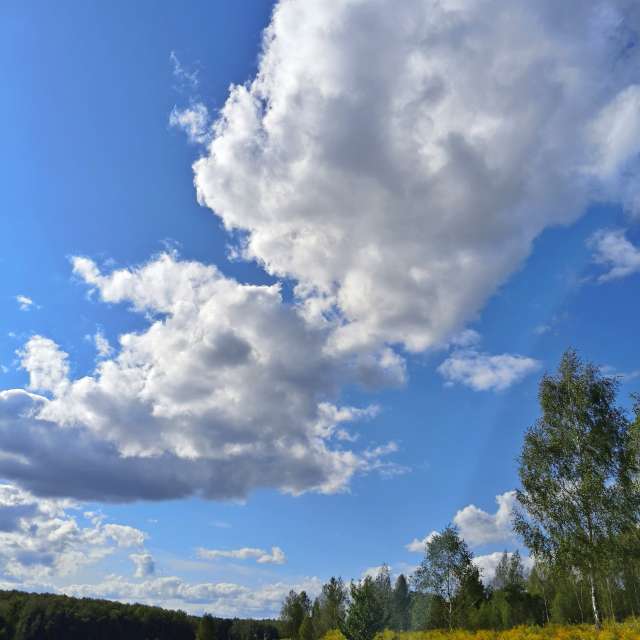 Flying. Weather forecasts with beautiful photos by Aleksei Photos in Tula